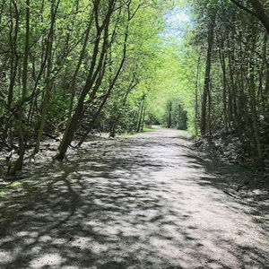 Meet your Posher, Margaret